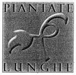 PIANTATE LUNGHE