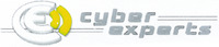 cyber experts