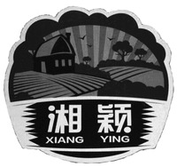 XIANG YING