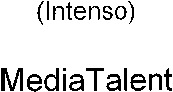 (Intenso) Media Talent
