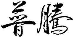 PU TENG
