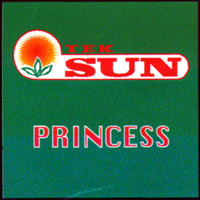 TEK SUN PRINCESS