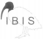 IBIS