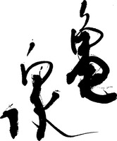 KAMEIZUMI