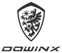 DOWINX