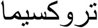 The word 