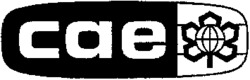 cae