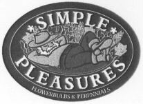 SIMPLE PLEASURES