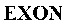 EXON