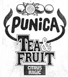 PUNiCA TEA & FRUIT CITRUS MAGIC