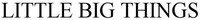 LITTLE BIG THINGS
