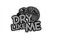 DRY LIKE ME