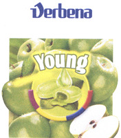 Verbena Young