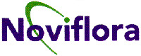 Noviflora