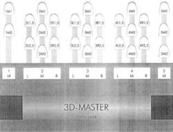 3D-MASTER TOOTH GUIDE