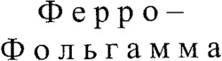 Ferro-Folgamma