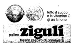 zigulí
