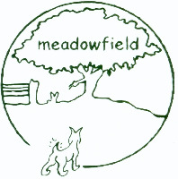 meadowfield