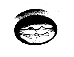 LS