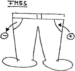 FM5S