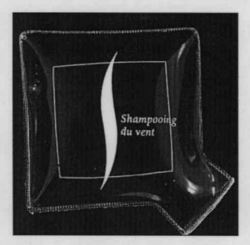 Shampooing du vent