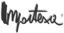 Importexa