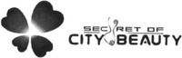 SECRET OF CITY BEAUTY