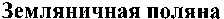 Zemlyanichnaya polyana.