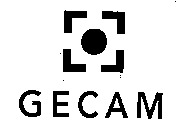 GECAM