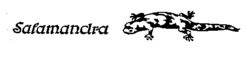 Salamandra