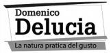 Domenico Delucia La natura pratica del gusto
