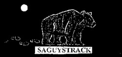 SAGUYSTRACK