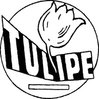 TULIPE