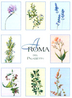 AROMA DEL PALAZZETTO