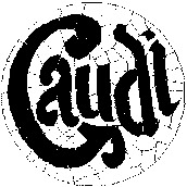 Gaudi