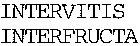 INTERVITIS interfructa