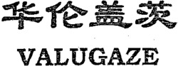 VALUGAZE