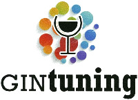 GINtuning