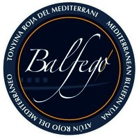 Balfegó TONYINA ROJA DEL MEDITERRANI MEDITERRANEAN BLUEFIN TUNA ATÚN ROJO DEL MEDITERRÁNEO