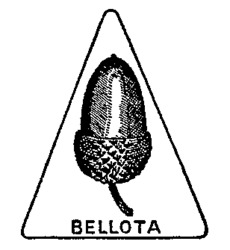 BELLOTA