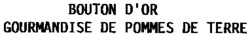 BOUTON D'OR GOURMANDISE DE POMMES DE TERRE