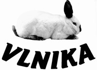 VLNIKA