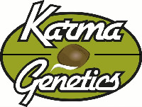 Karma Genetics