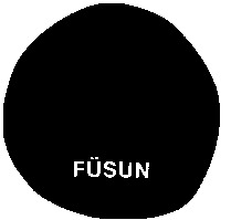 FÜSUN