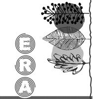 ERA