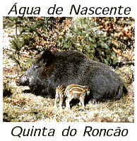 Água de Nascente Quinta do Roncão