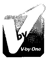 V-by-One