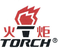 TORCH