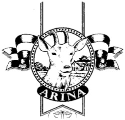 ARINA