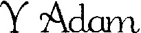 Y Adam